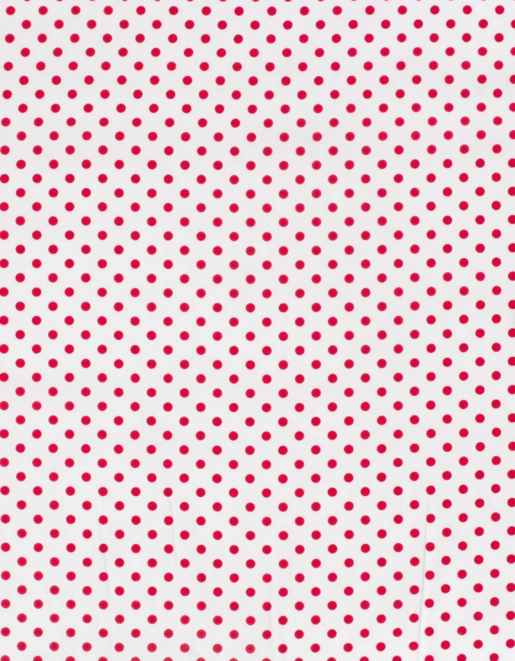 Popeline de coton Tissu imprimé Pois Blanc