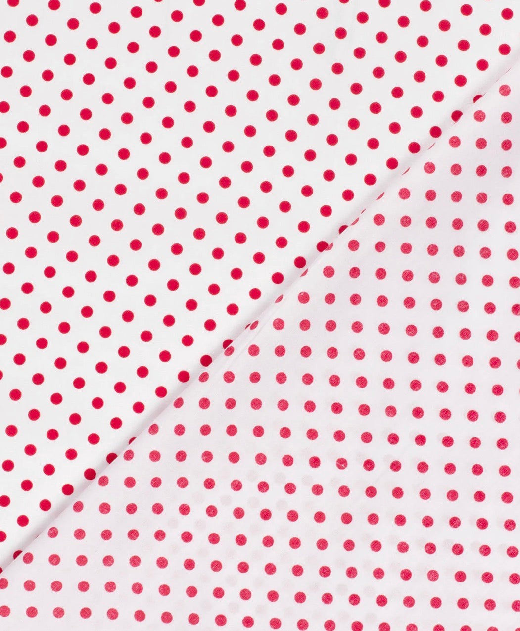 Popeline de coton Tissu imprimé Pois Blanc